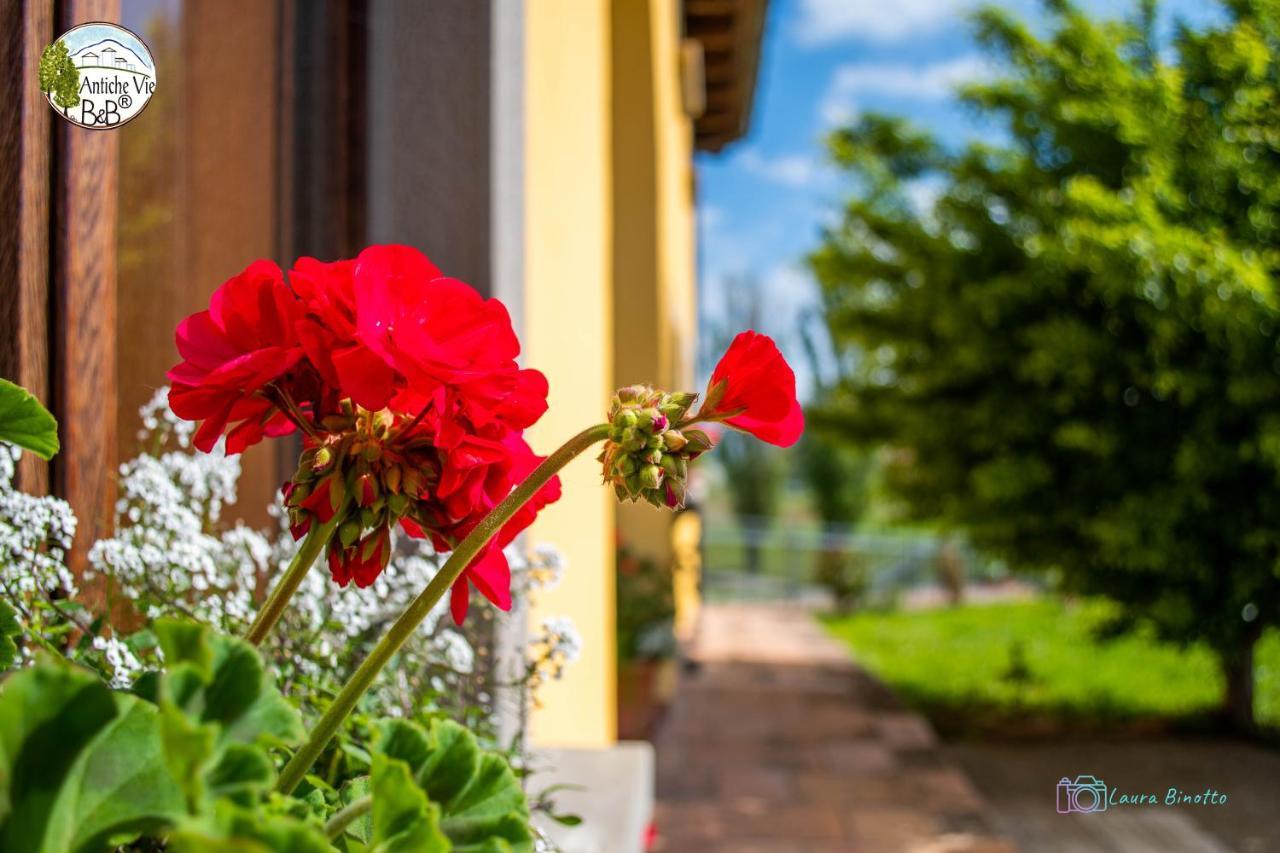 Antiche Vie B&B Serramazzoni Экстерьер фото